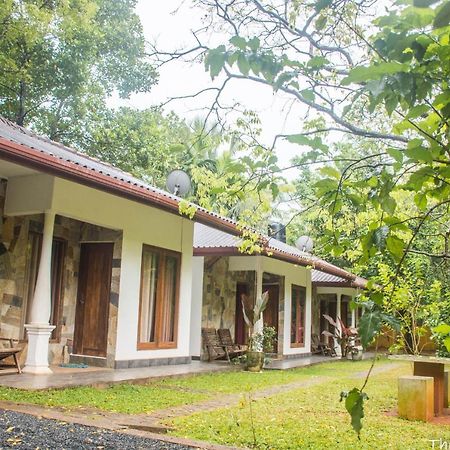 The Calm Cabana Dambulla Eksteriør billede