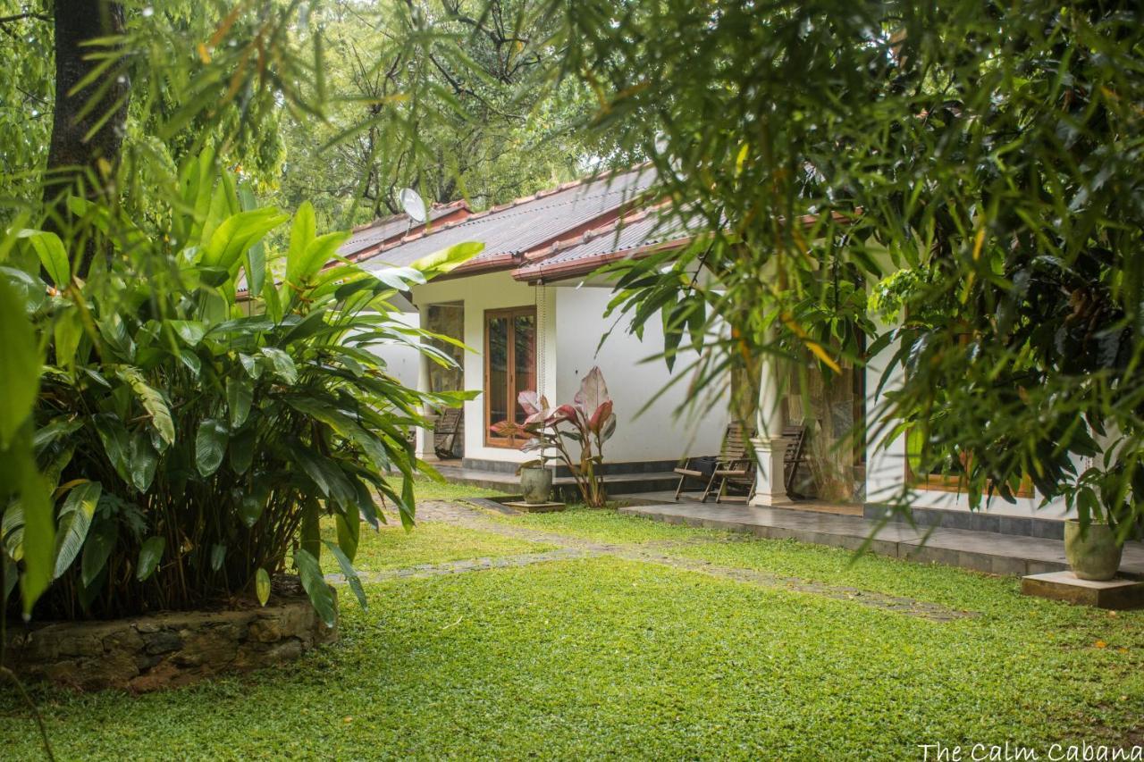The Calm Cabana Dambulla Eksteriør billede