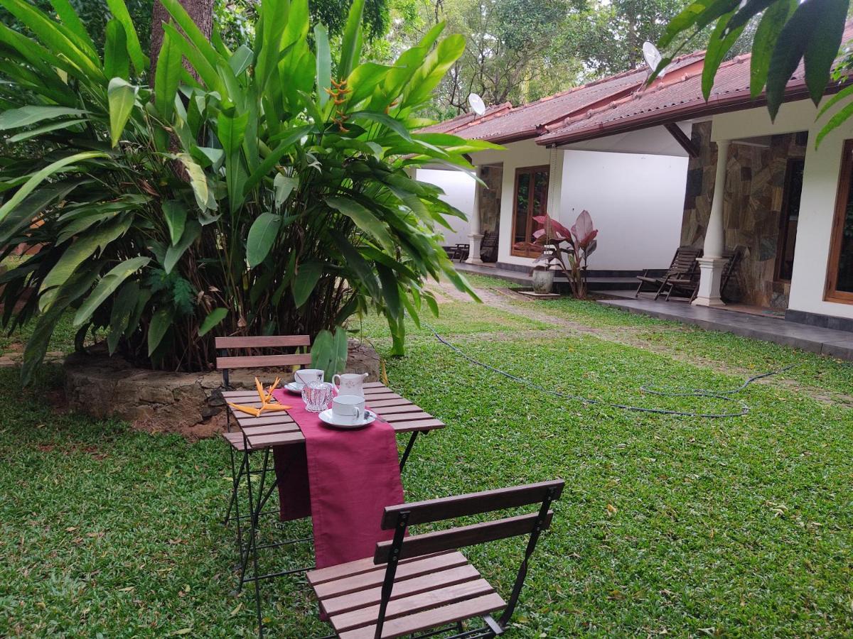 The Calm Cabana Dambulla Eksteriør billede