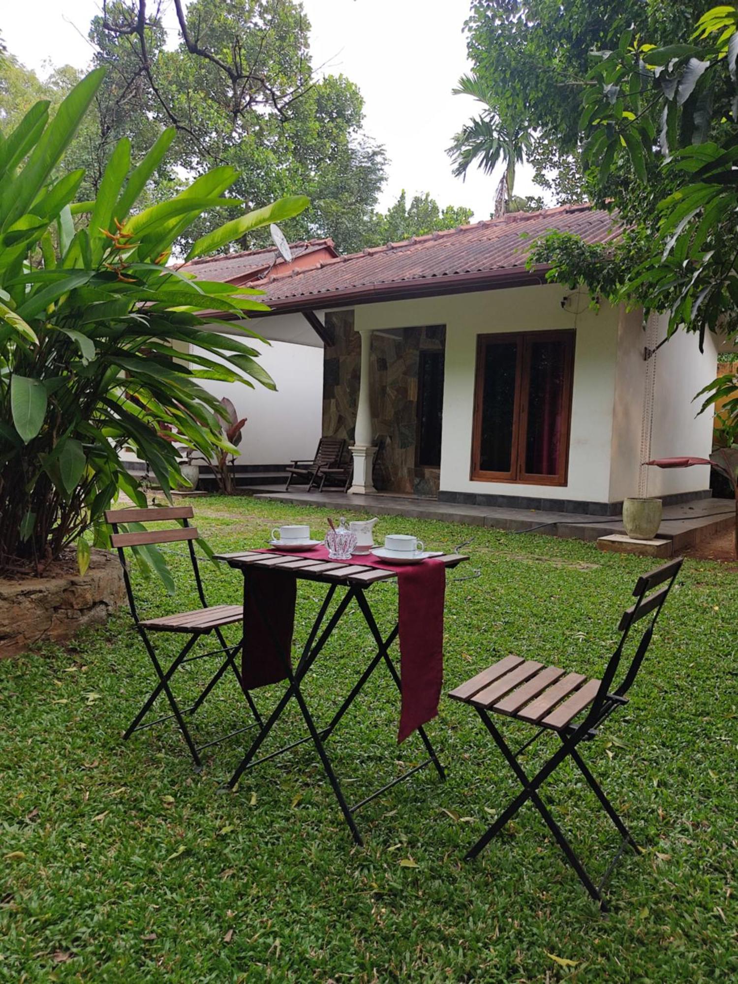 The Calm Cabana Dambulla Værelse billede